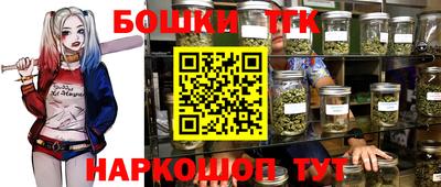 хмурый Кингисепп