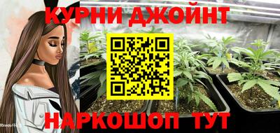 хмурый Кингисепп