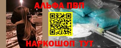хмурый Кингисепп